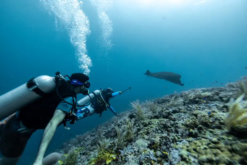 PADI 潜水长专业课程 (Divemaster)