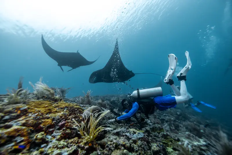 Fun Dives & Snorkeling